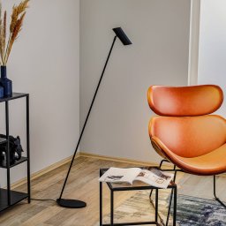 Lucide Hester - graceful metal floor lamp, black