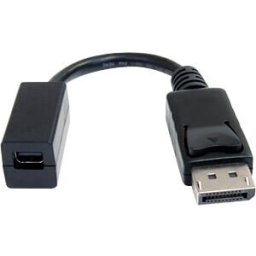 STARTECH.COM ST DP2MDPMF6IN - DisplayPort to Mini DisplayPort Adapter