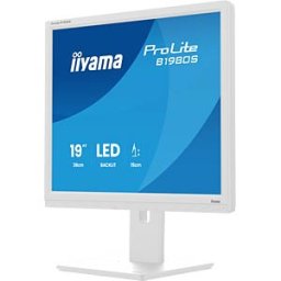 IIYAMA IIY B1980SW1 - 48-cm monitor, pivot, loudspeakers, white