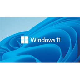 MICROSOFT WIN11 HOME EN - Software, Windows 11 Home, English (UK)