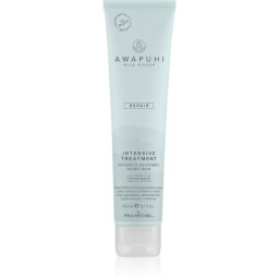 Paul Mitchell Awapuhi Wild Ginger Repair Intevsive Treatment Intensive Hair Treatment for damaged hair 150 ml