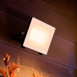 Philips LED outdoor spotlight Lois UE flood, 14 W, 3,000 K, IP65
