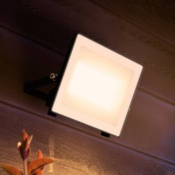 Philips LED outdoor spotlight Lois UE flood, 24 W, 3,000 K, IP65