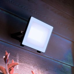 Philips LED outdoor spotlight Lois UE flood, 14 W, 5,000 K, IP65