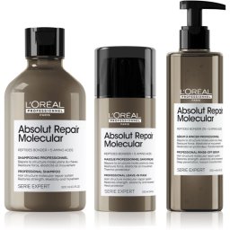 L’Oréal Professionnel Serie Expert Absolut Repair Molecular Economy Pack for damaged hair