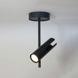 SIGMA Leda 1 downlight, anthracite, 1-bulb, steel, height 34 cm