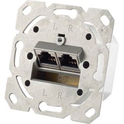 SHIVERPEAKS SHVP BS74280 - Cat.6A network socket 2 port designable