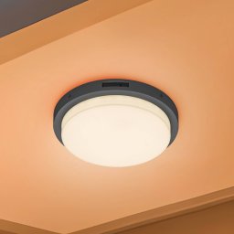 Trio Lighting LED outdoor wall light Bermejo, round, sensor, CCT, anthracite