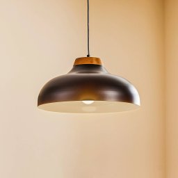 Luminex Gus pendant light with metal shade, black