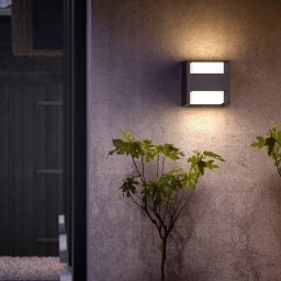 Philips LED outdoor wall light Arbour, 2-bulb, pack of 2, 2,700 K