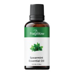 FragWowSpearmint Oil: Enjoy the Energizing Aroma and Digestive Benefits of 100% Pure Mentha Spicata Oil 100 ML