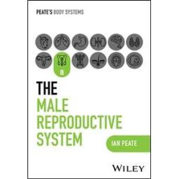 The Male Reproductive System