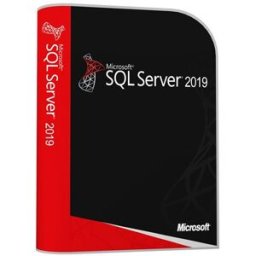 Windows Sql Server 2019 Standard Cals Incluse