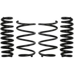 Eibach Molla del telaio Pro-Kit E10-20-014-12-22