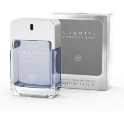 Bugatti Signature Grey Eau de Toilette per uomo 100ml 100 ml