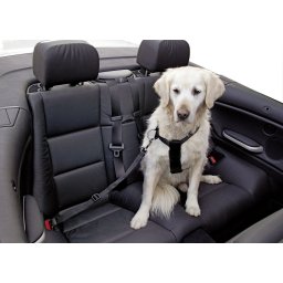 KERBL CANE PETTORINA REGOLABILE PER AUTO TG. "XL" NERO