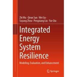Integrated Energy System Resilience