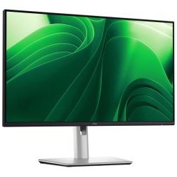DELL TECHNOLOGIES DELL PRO 24 PLUS P2425D