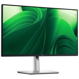 DELL TECHNOLOGIES DELL PRO 24 PLUS QHD USBC P2425DE