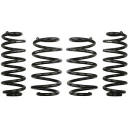 Eibach Molla del telaio Pro-Kit E10-15-007-09-22