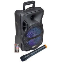 Cassa Audio Amplificato Lx 8 300 Watt Con Radiomicrofono