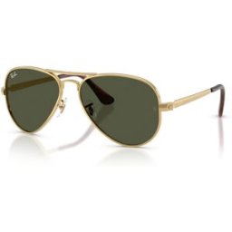 Occhiali da Sole Ray-Ban Aviator Max RB 3925 (001/31)