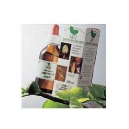 Castagno 100 Ml Mg