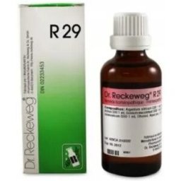 Dr.Reckeweg Dr. Reckeweg R29 Gocce Omeopatiche 22 ml