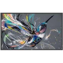 Philips Monitor Digital Signage 50 Q-Line 16:9 4k Uhd 400 Cdm, 18/7, Cmnd, Lan, Dvi/hdmi