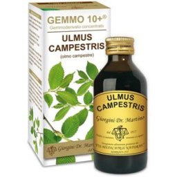 DR.GIORGINI SER-VIS Srl OLMO CAMP 100ML ANALCO GEM 10+