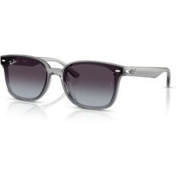 Ray-Ban 4461D (64508G)