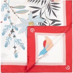 Foulard In Seta Con Stampa di rami di fiori ROSSO, one_size, Pollini one_size