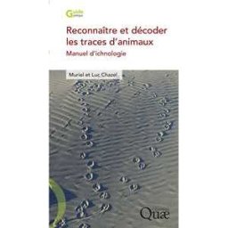 Reconnaître et décoder les traces d'animaux