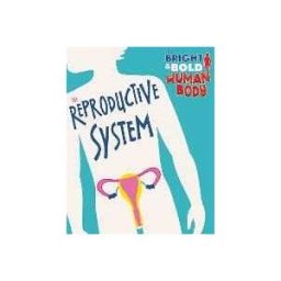 Sonya Newland The Bright and Bold Human Body: The Reproductive System