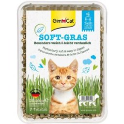 Gimcat Soft Grass Erba per Gatto 100G