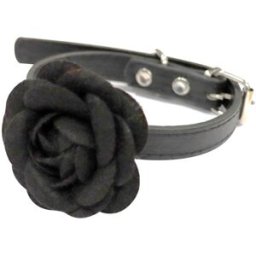 Croci Collare per Cane Black Rose M