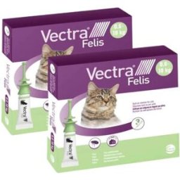 Vectra Felis Antiparassitario per Gatti 0.6-10KG KIT 6 PIPETTE