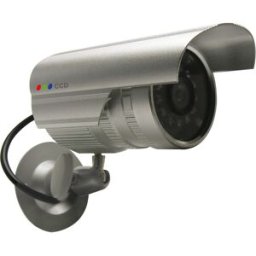 Telecamera finta di sorveglianza Smart Home