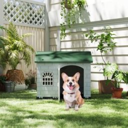 Costway Rifugio per animali domestici da esterno e interno con porta bloccabile, Cuccia per cani in plastica impermeabile Verde scuro