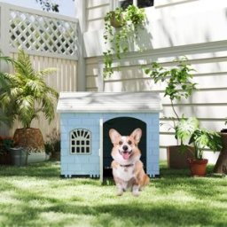 Costway Rifugio per animali domestici da esterno e interno con porta bloccabile, Cuccia per cani in plastica impermeabile Blu chiaro