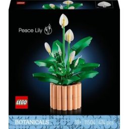 SPATIFILLO LEGO BOTANICALS 11504