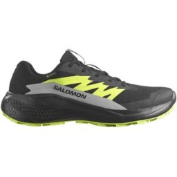 Salomon Scarpe Da Trail Running Alphaglide Gore-tex® Black / Alloy / Sharp Green EU 47 1/3
