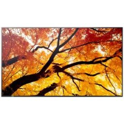 Sharp MultiSync PN-M752 189,2 cm (74.5") LED 550 cd/m² 4K Ultra HD Nero 24/7 (60006057)