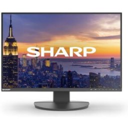 Sharp MultiSync EA242W Monitor PC 61 cm (24") 1920 x 1200 Pixel Full HD LCD Nero (60006214)