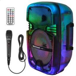 Bontempi Altoparlante Wireless Con Microfoni 39221