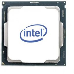Intel Cpu S189 Xeon Gold 6326 Tray 2.2ghz