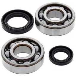 All Balls Kit Di Cuscinetti Per Albero Motore 2-1100 Black One Size