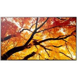 NEC Sharp MultiSync M862 Pannello piatto per segnaletica digitale 2,18 m (86") LCD 550 cd/m² 4K Ultra HD Nero 24/7 (60006058)