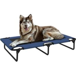 PawHut Cuccia Rialzata Pieghevole e Rinfrescante per Cani, con Rete Traspirante, Piedini in Acciaio, per Campeggio e Uso Esterno