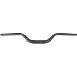 Ergotec Manubrio Riser 100all 12° Black